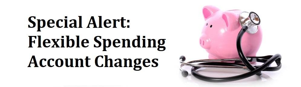 Flexible spending account (FSA)